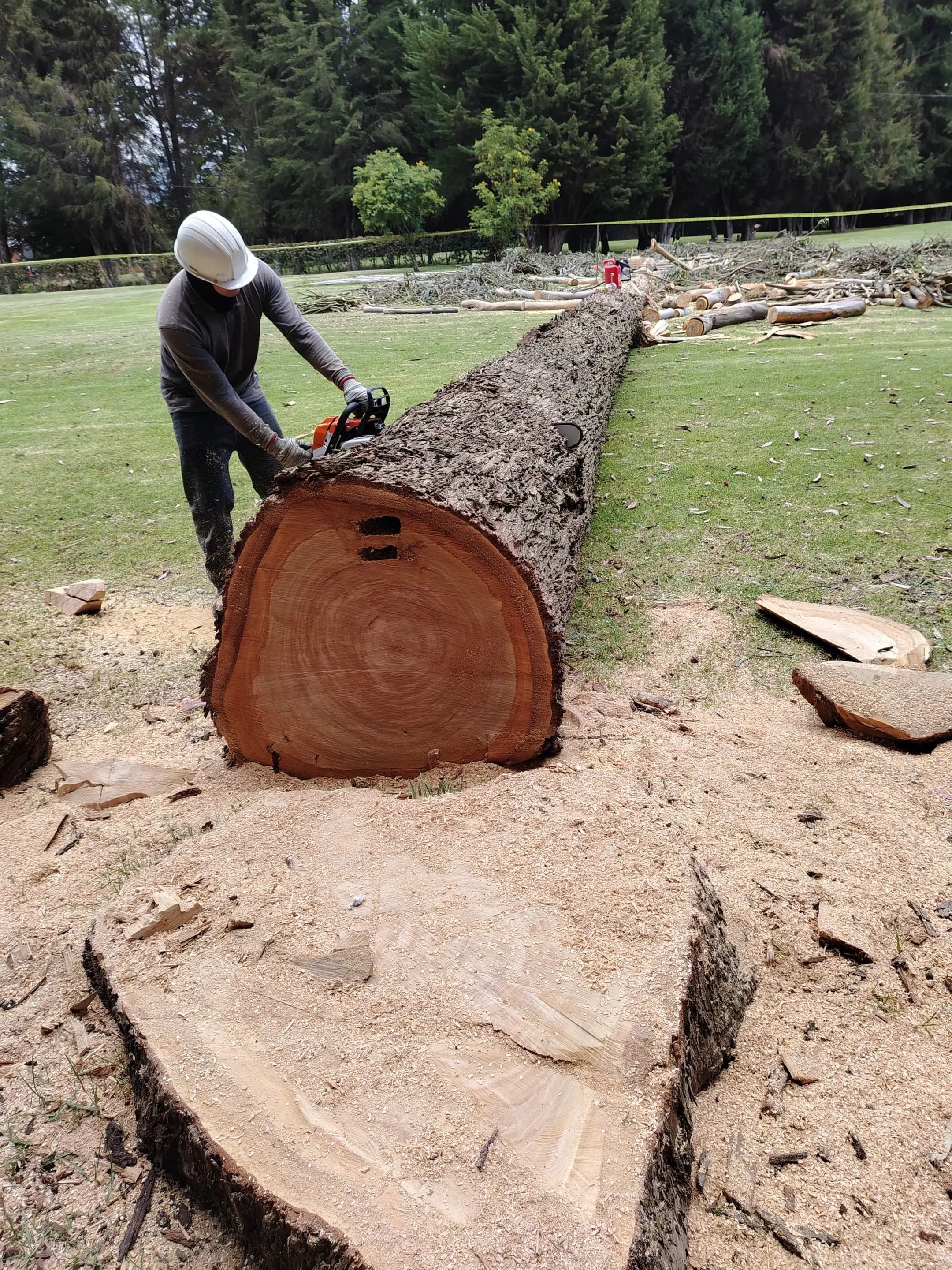 Proyectos destacados