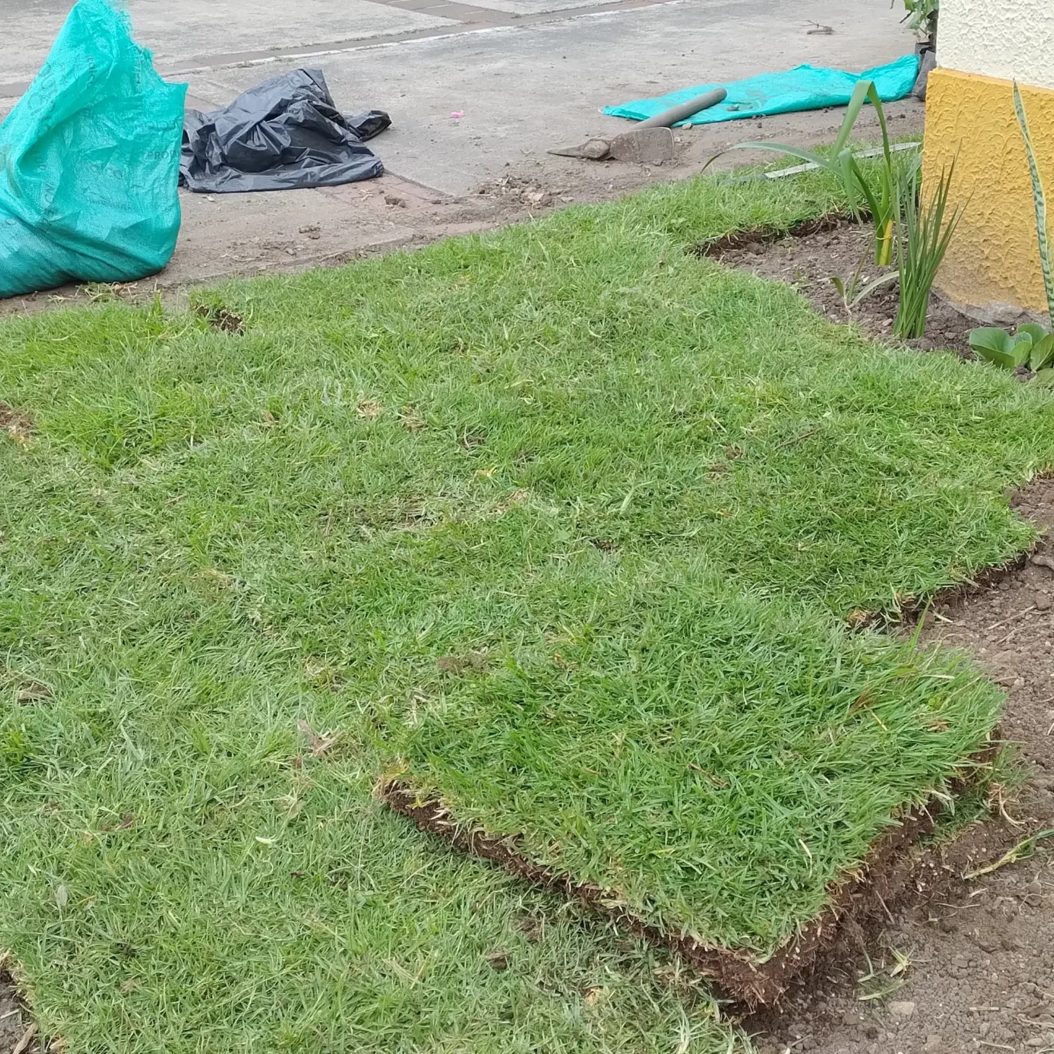 Proyectos destacados