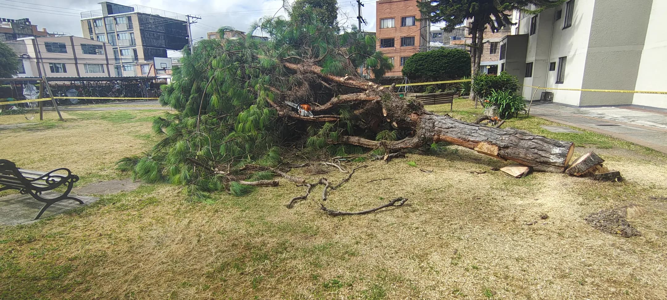 Proyectos destacados