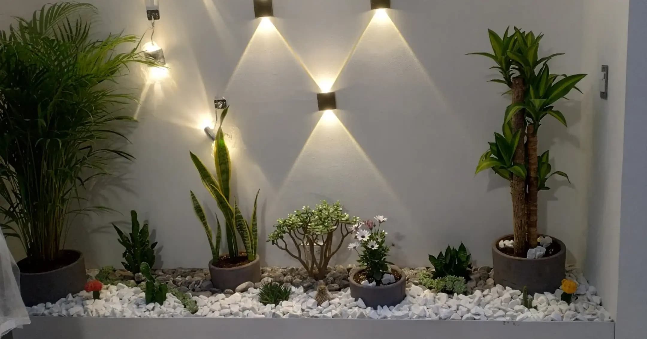 Proyectos destacados