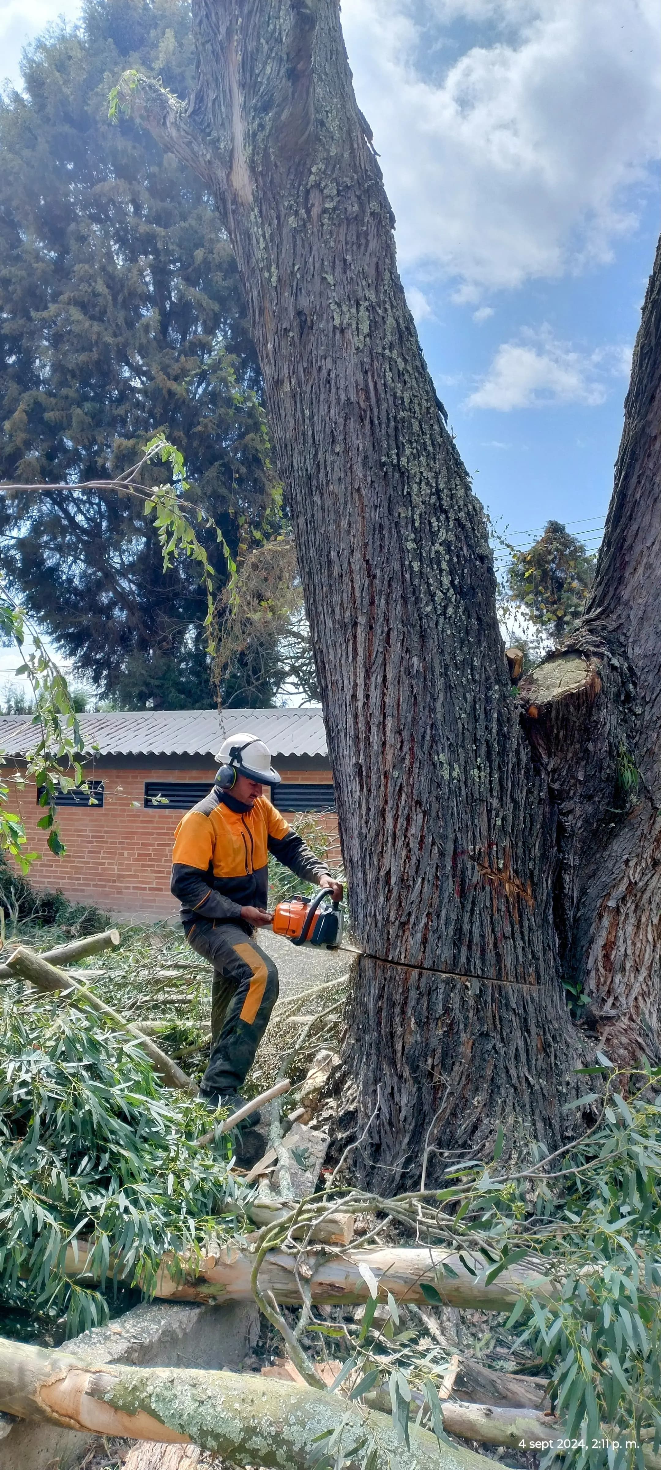 Trabajos jardineria