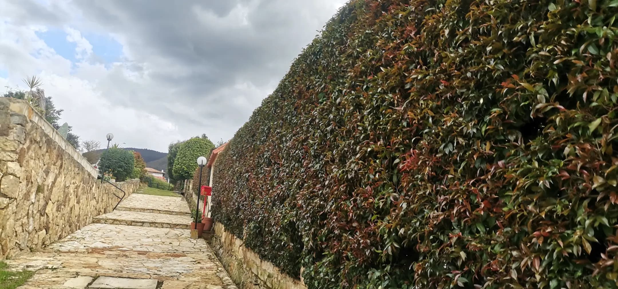 Proyectos destacados