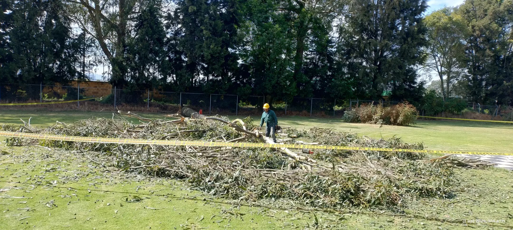 Proyectos destacados