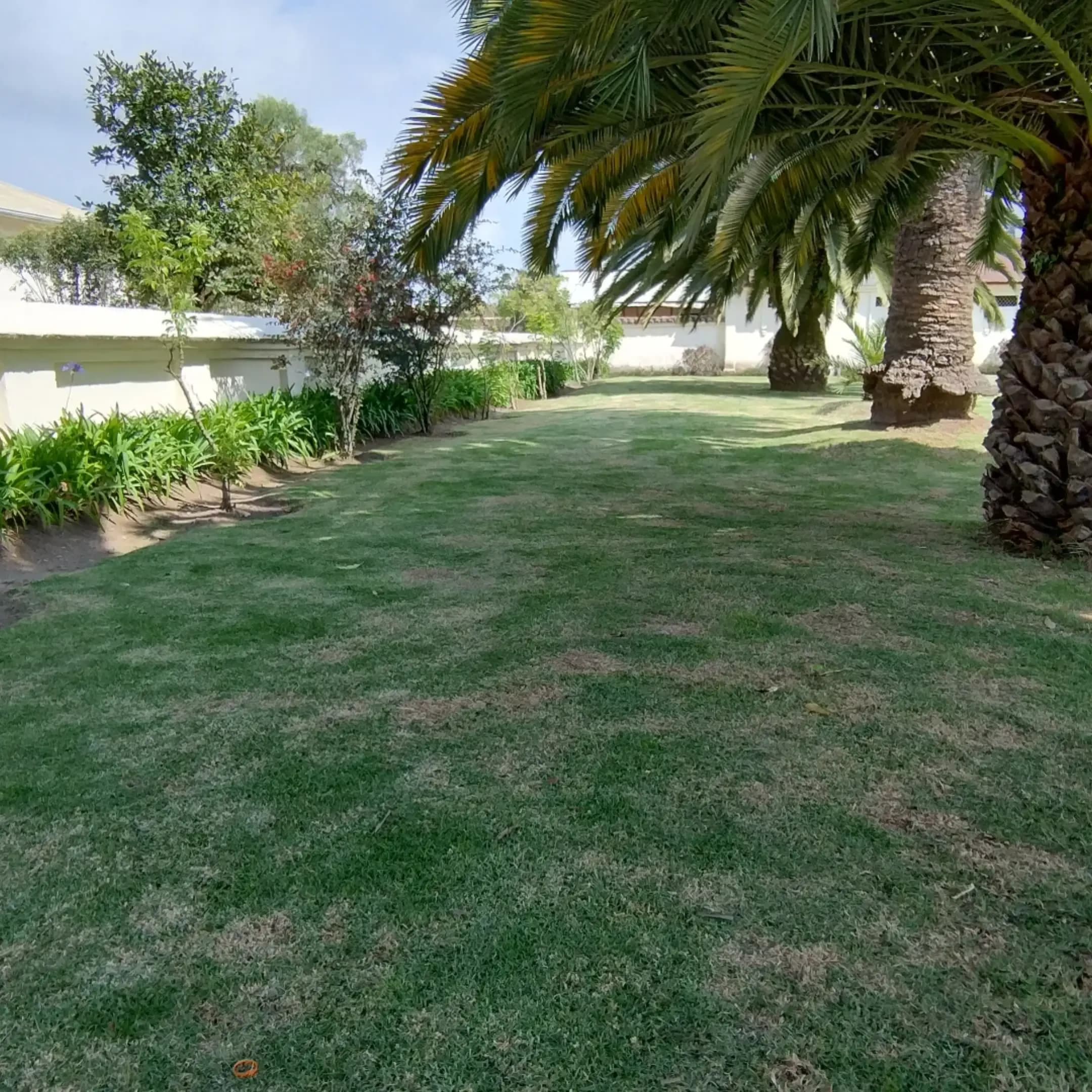 Proyectos destacados