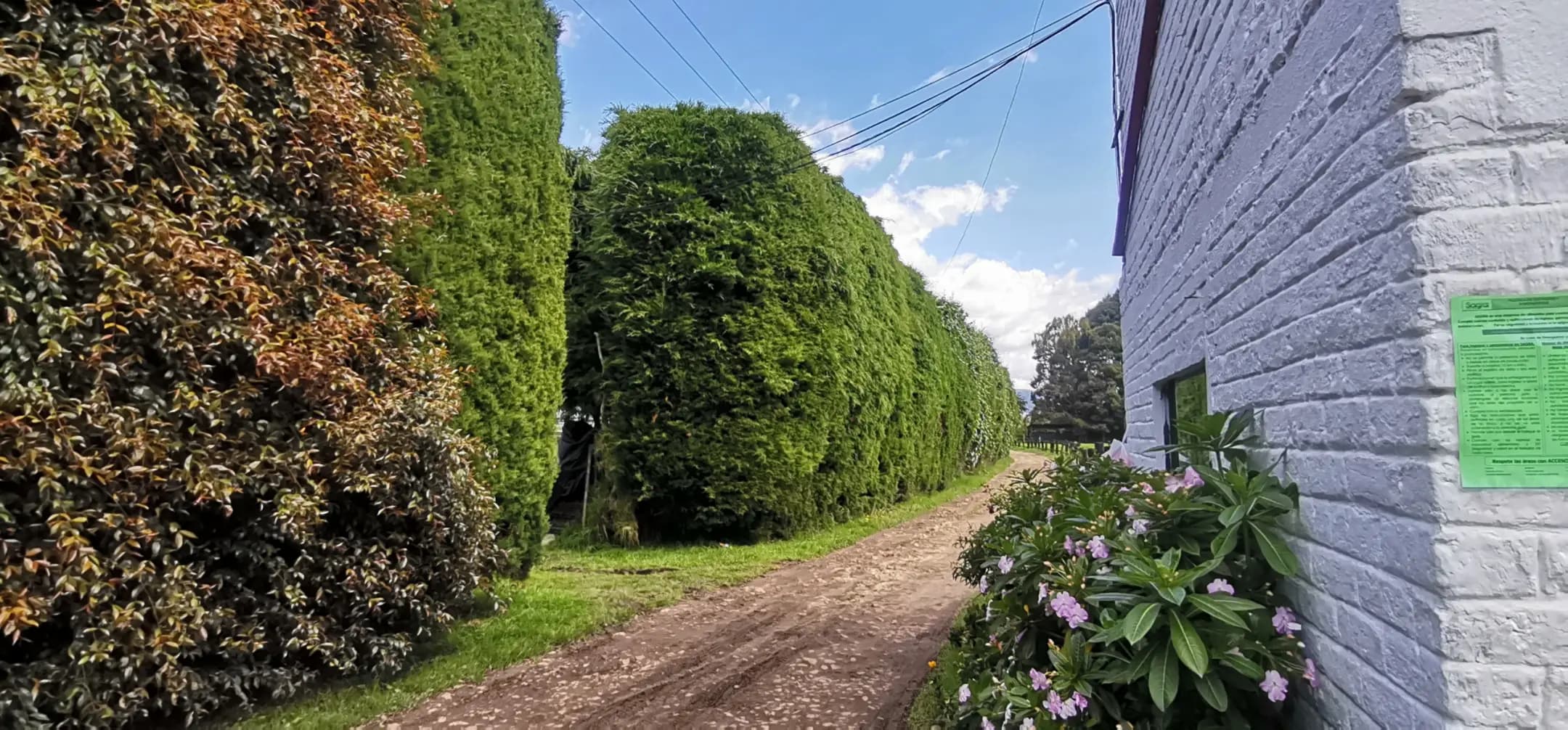 Proyectos destacados