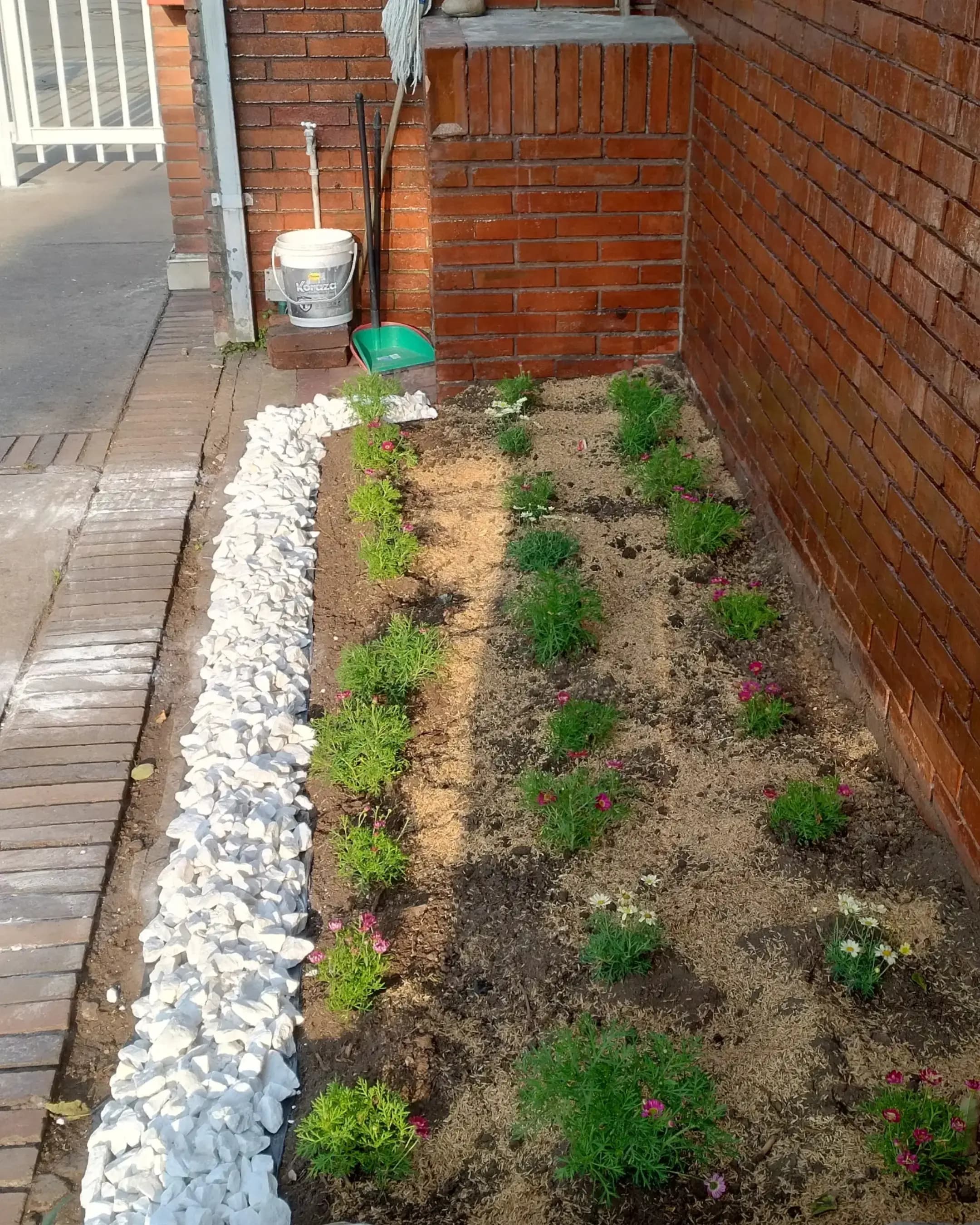 Proyectos destacados