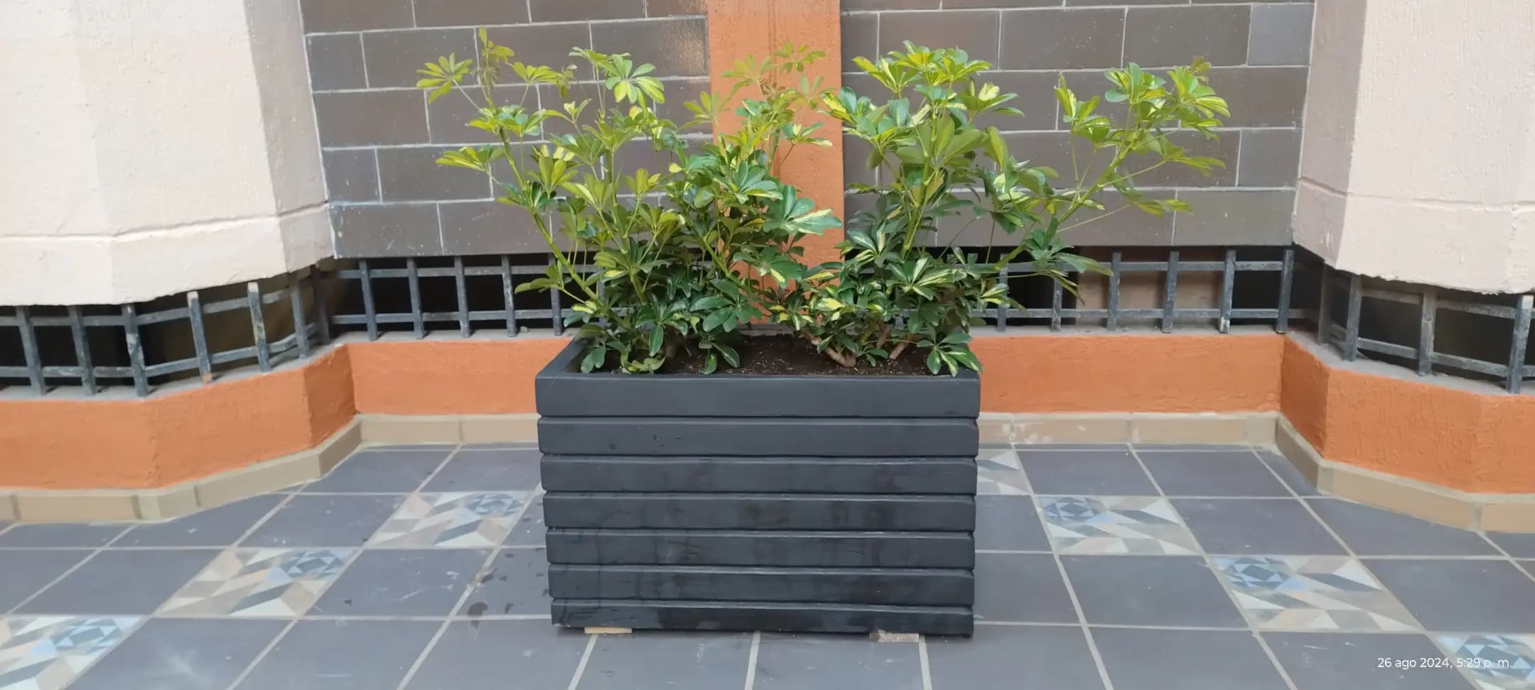 Proyectos destacados