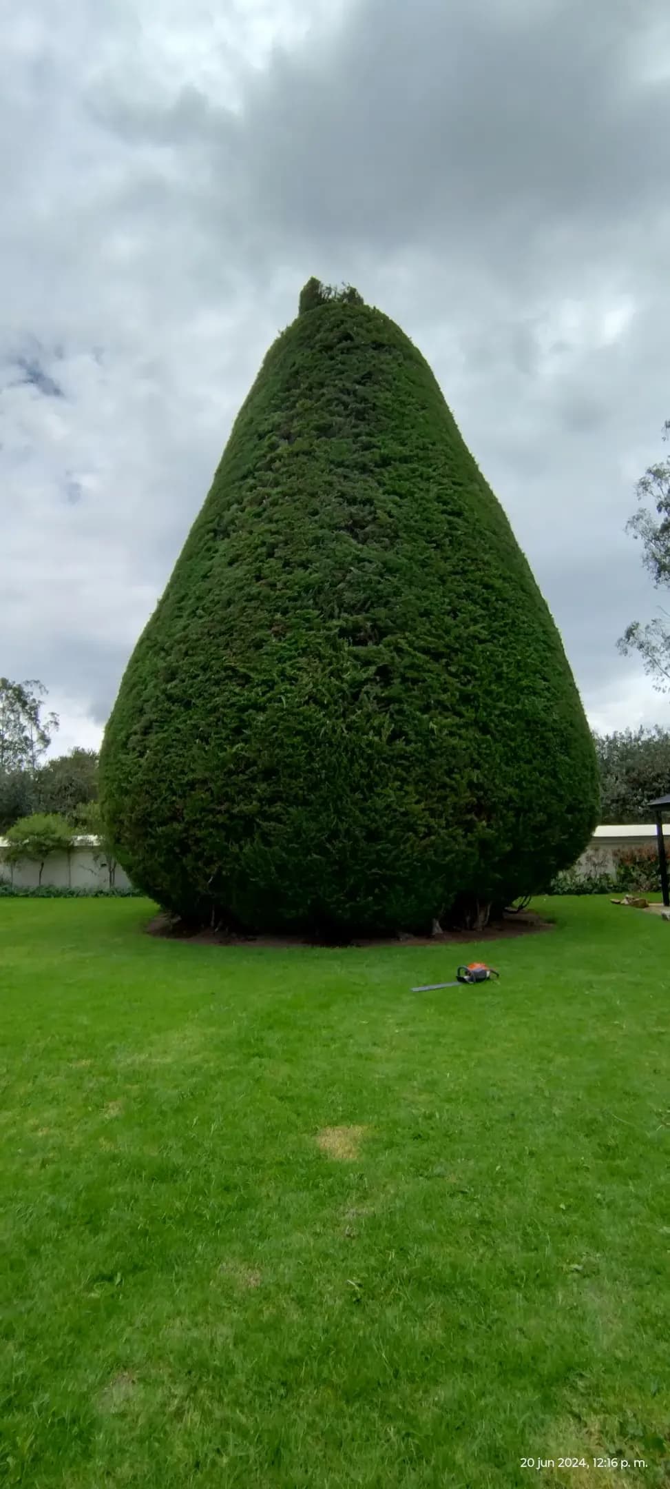 Proyectos destacados