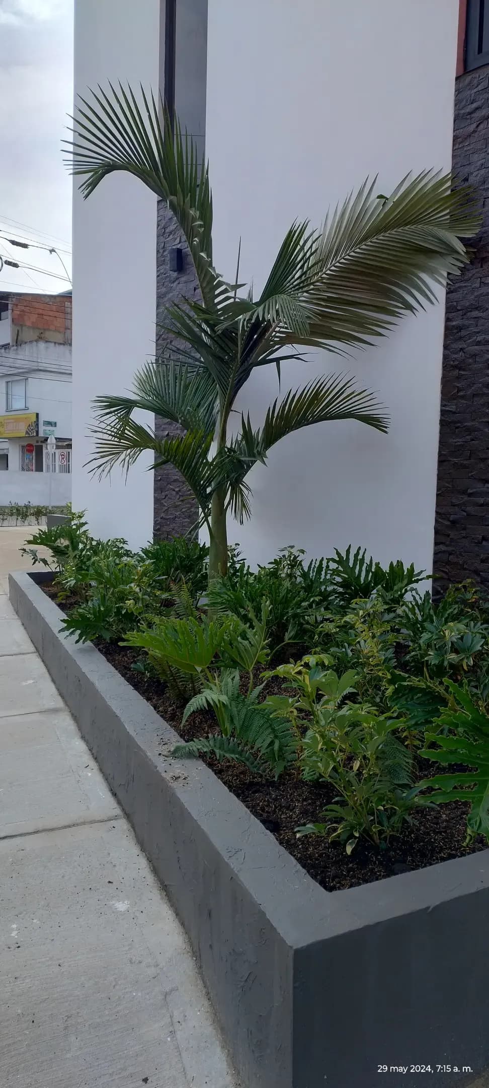 Proyectos destacados